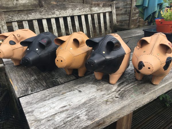 Pigs01